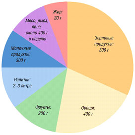 Диаграмма питания. Диаграмма рациона питания. Диаграмма правильного питания. Диаграмма здорового питания. Правильный рацион питания в виде круга.