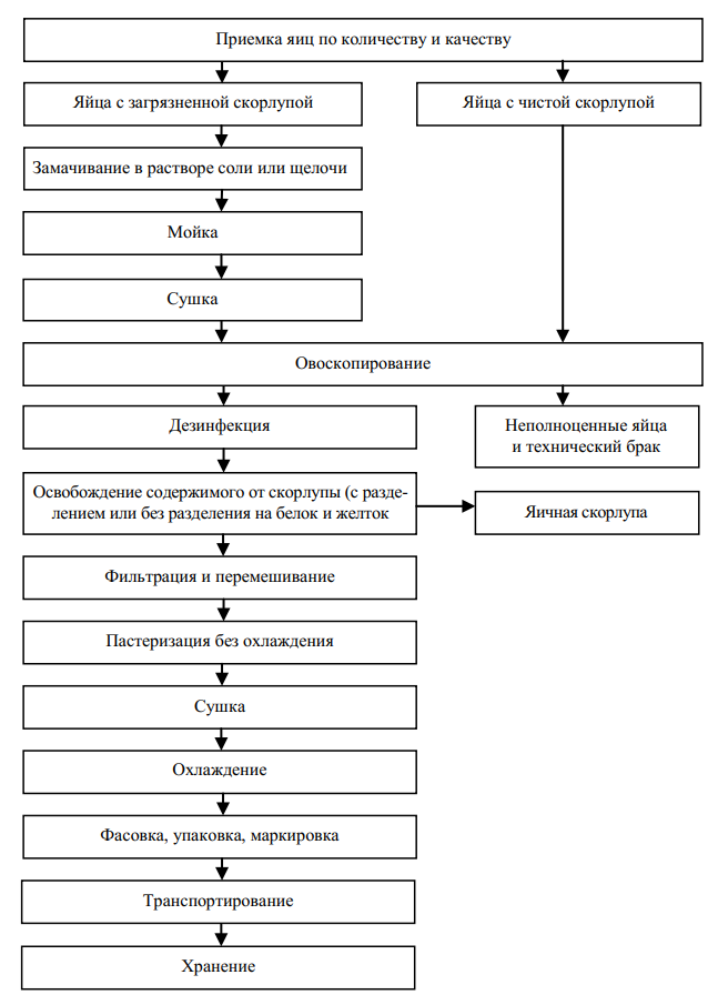 Схема обработки яиц. Технологическая схема производства яичного порошка. Технологическая схема производства яичных сухих продуктов. Технологический процесс подготовки яичного порошка к производству. Технологический процесс яичного меланжа.