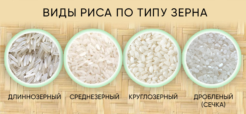 Различие риса. Виды риса. Разные сорта риса. Виды риса названия. Рис виды и сорта.